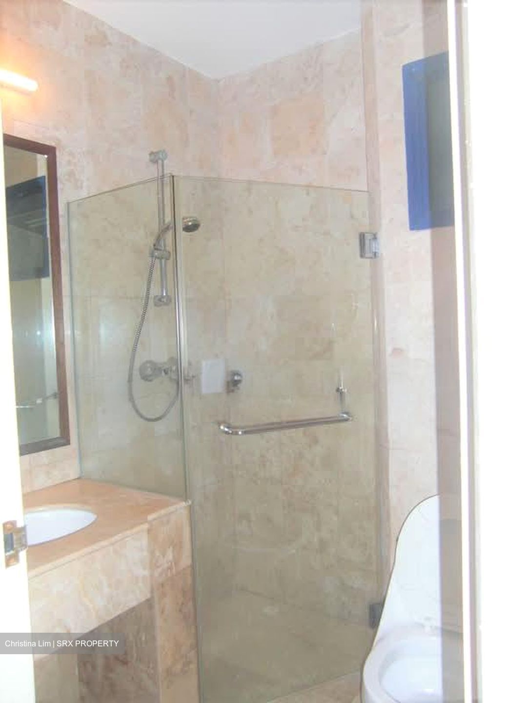 Nineteen Shelford Road (D11), Condominium #605891961